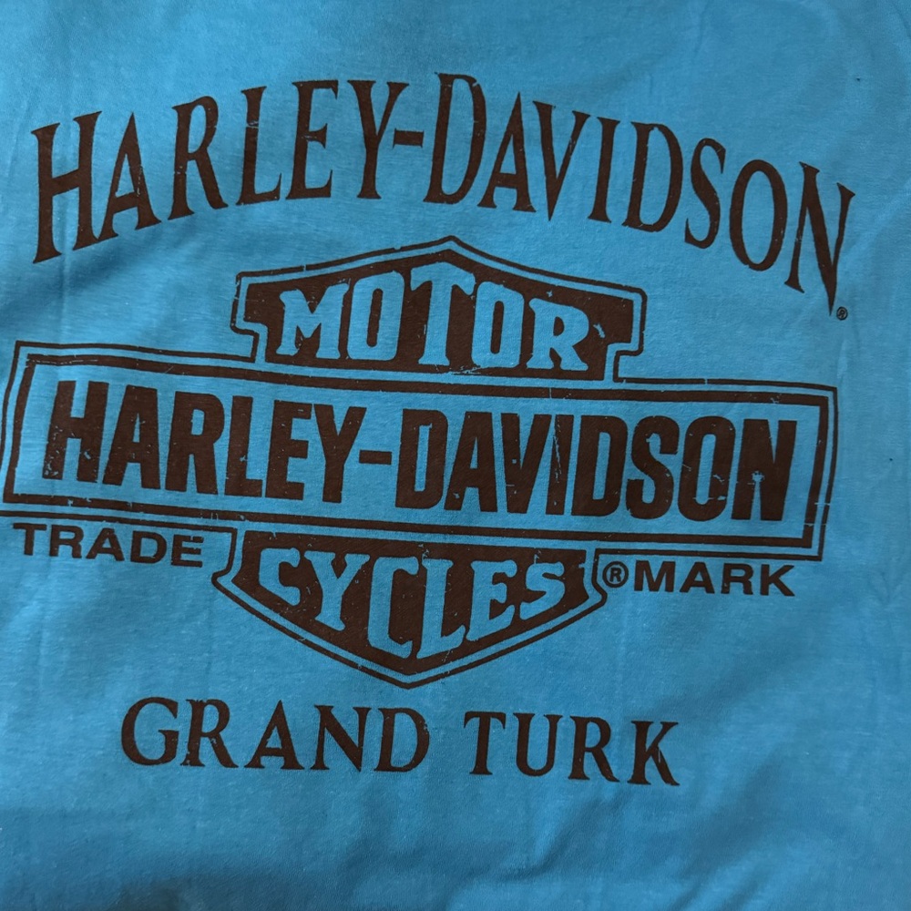 Harley-Davidson Grand Turk - Picture 2 of 9